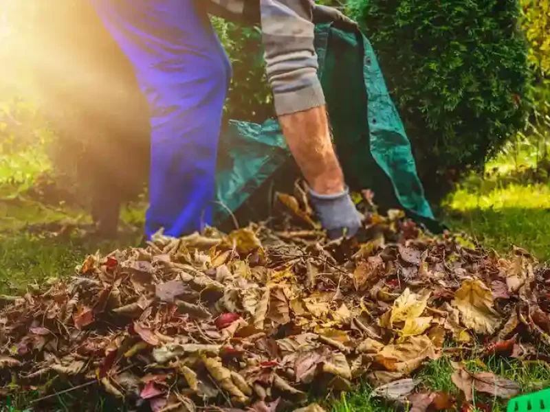 LIMPEZA DE JARDIM EM BRASÍLIA (1)